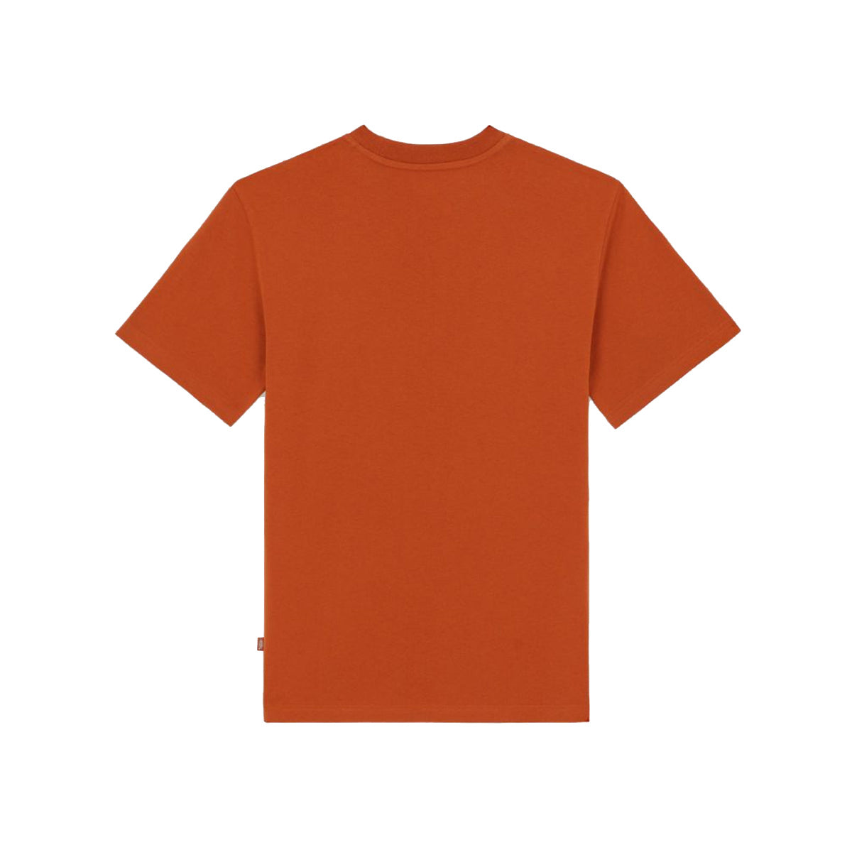 T-Shirt Summerdale Bombay Brown